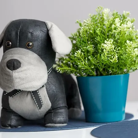 Apartman Animal House - Stayinwroclaw *