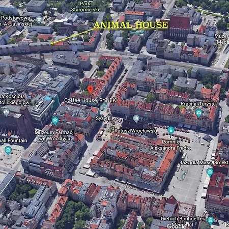 Apartman Animal House - Stayinwroclaw *