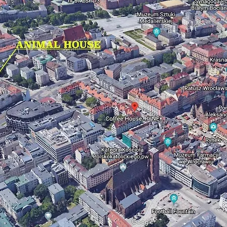 Animal House - Stayinwroclaw