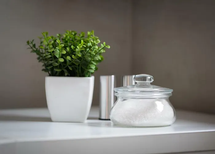 Animal House - Stayinwroclaw Apartman