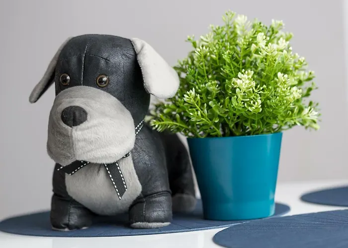 Apartman Animal House - Stayinwroclaw *