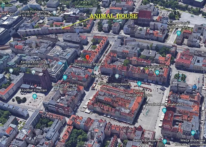 Apartman Animal House - Stayinwroclaw *