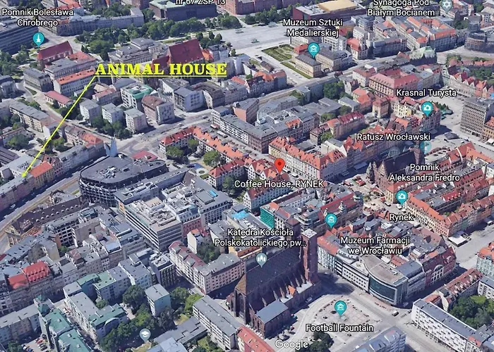 Animal House - Stayinwroclaw
