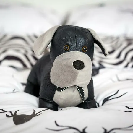 Animal House - Stayinwroclaw * Breslau