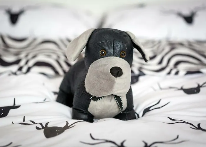 Animal House - Stayinwroclaw * Breslau