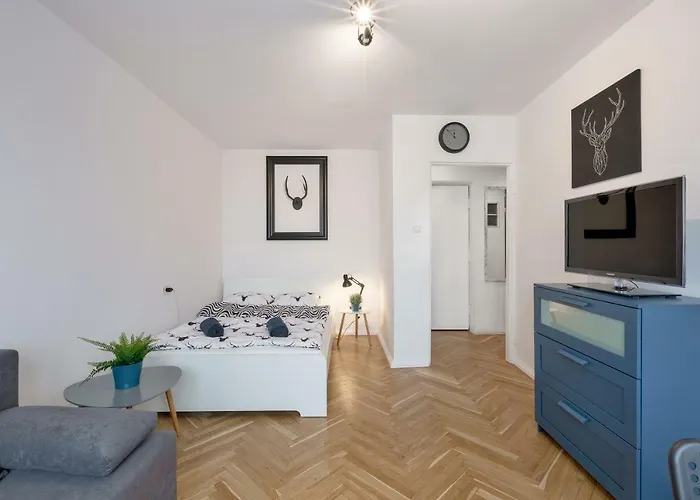 Animal House - Stayinwroclaw *